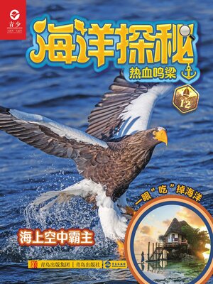 cover image of 热血鸣梁
